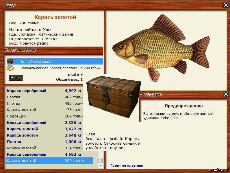 Магазин Золотой Карась