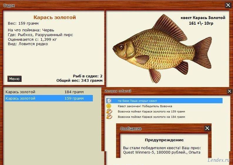Магазин Золотой Карась