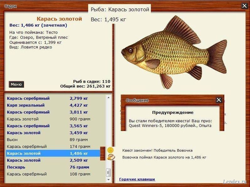 Магазин Золотой Карась