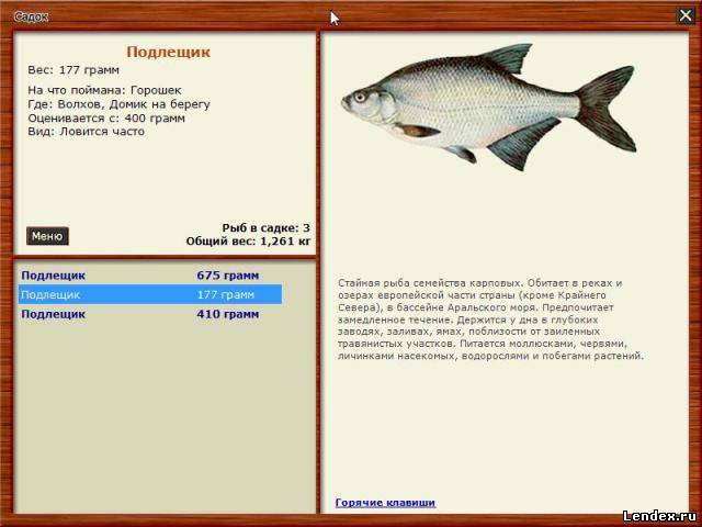 русская рыбалка 4 волхов фарм