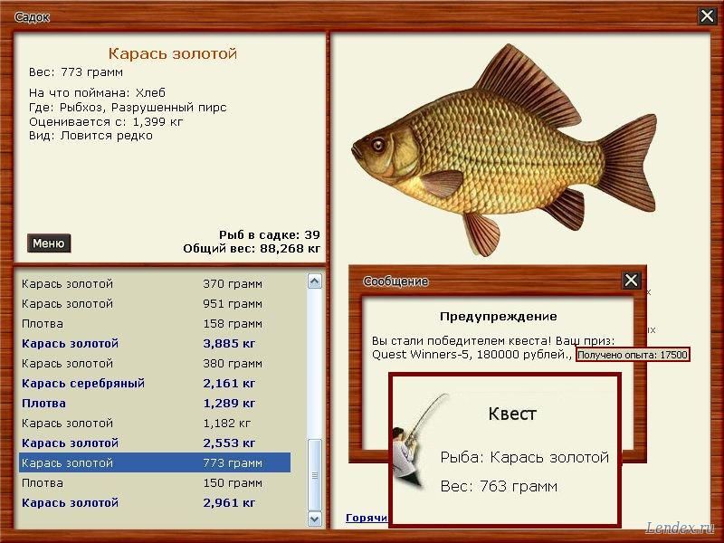 Магазин Золотой Карась