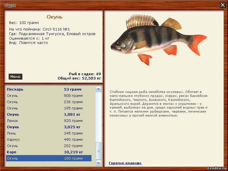 Клевалка Для Игры Трофейная Рыбалка Клевалка Для Игры Трофейная Рыбалка