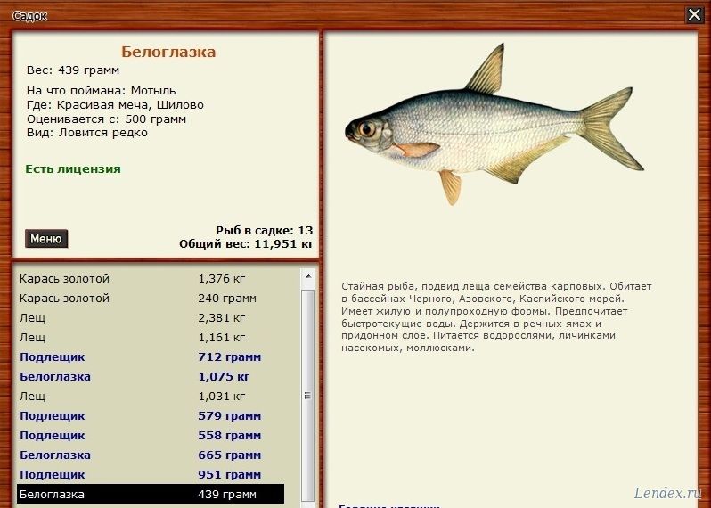 русская рыбалка 3 красивая меча голавль