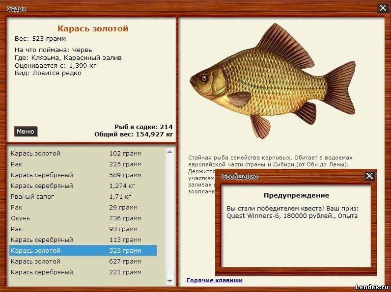 ловля карасей золотистых на ловля карасей золотистых на