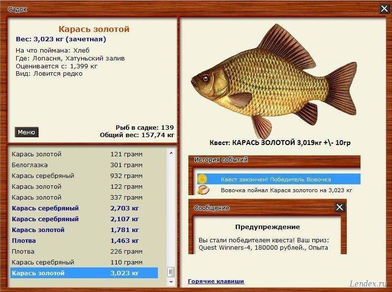 Магазин Золотой Карась