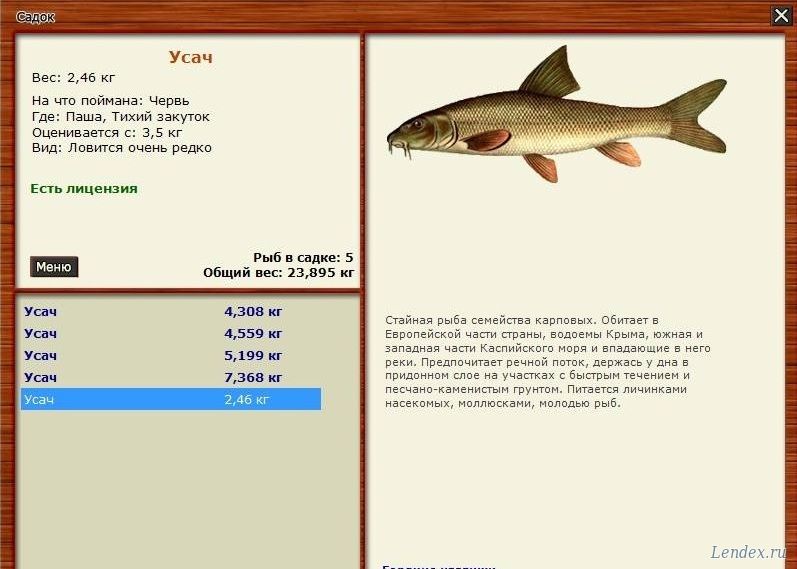 русская рыбалка паша