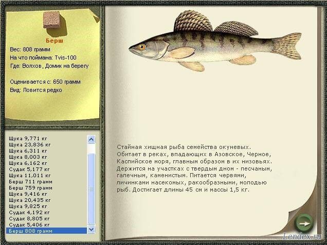 русская рыбалка 3 где ловить рыбу
