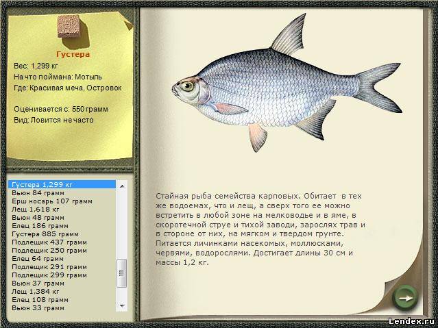 маленькая рыбка для ловли большой сканворд маленькая рыбка для ловли большой сканворд