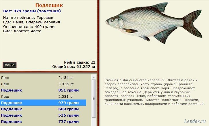 русская рыбалка форум