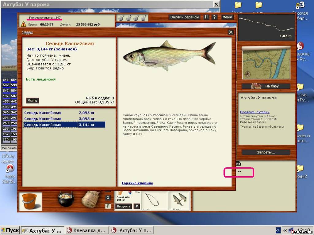 Сельдь Каспийская - Страница 2 - форум игры Русская рыбалка