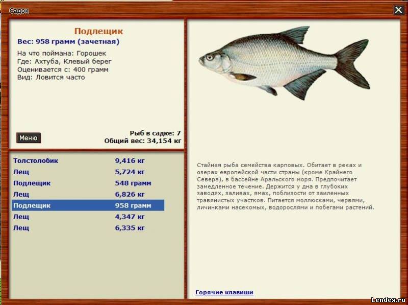 нева.лещ.русская рыбалка нева.лещ.русская рыбалка