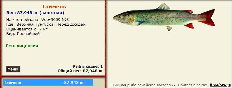 рыбалка верхняя тунгуска рыбалка верхняя тунгуска