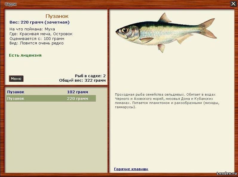 Как в русской рыбалке сделать наживку Как в русской рыбалке сделать наживку