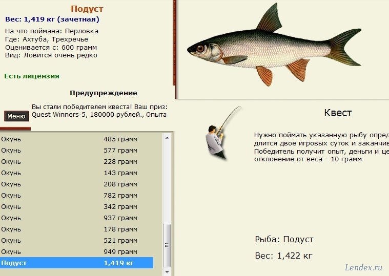 сонник поплавок клюет сонник поплавок клюет