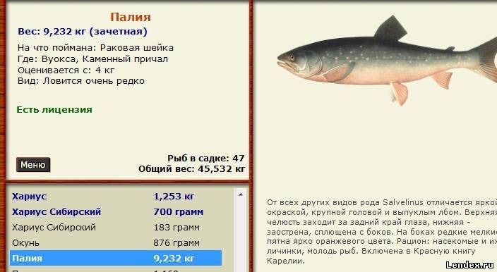 курсы, консультации русская рыбалка 2 лабынкыр густера лучших медицинских клиник