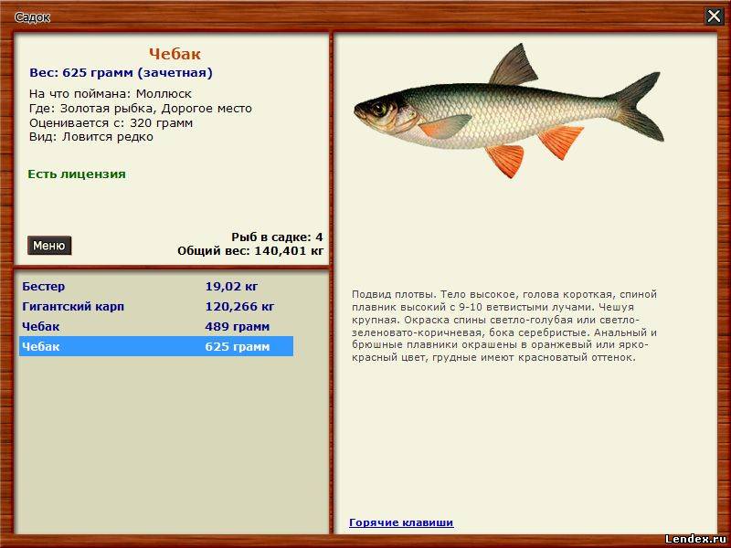 приманка для чибака приманка для чибака