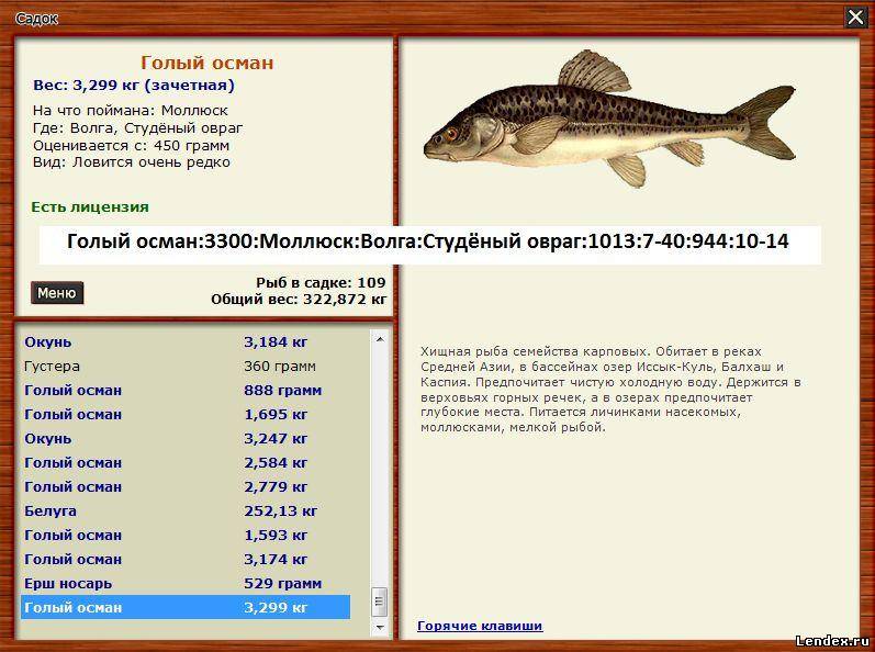 И один в поле воин