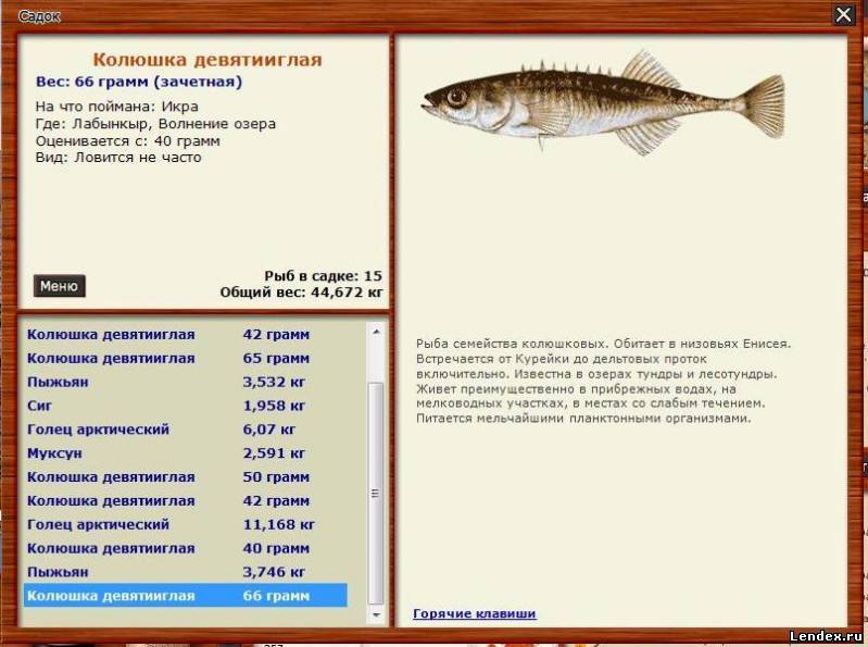 прикормка для озера аргази на чебака прикормка для озера аргази на чебака