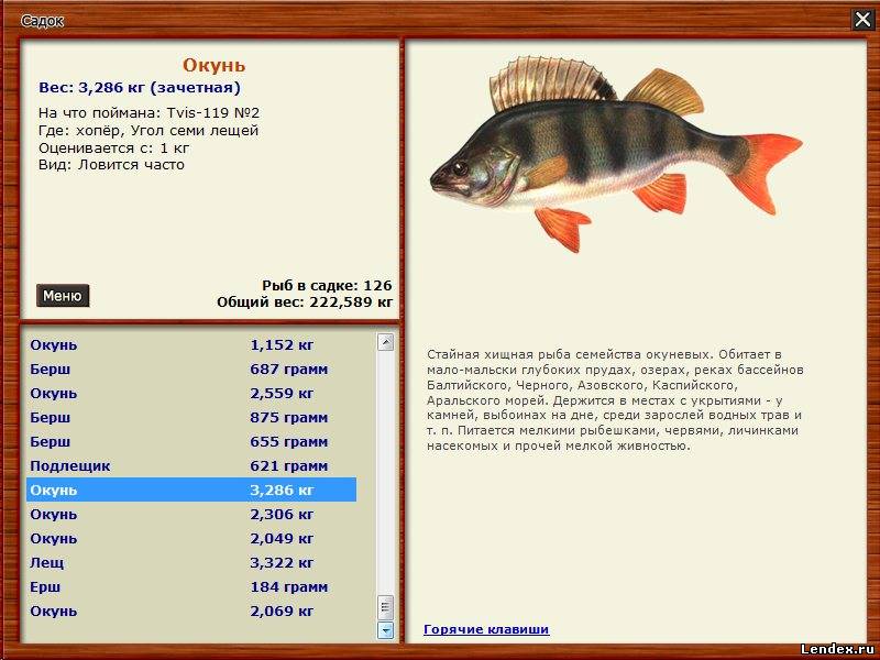русская рыбалка 3 подкаменная