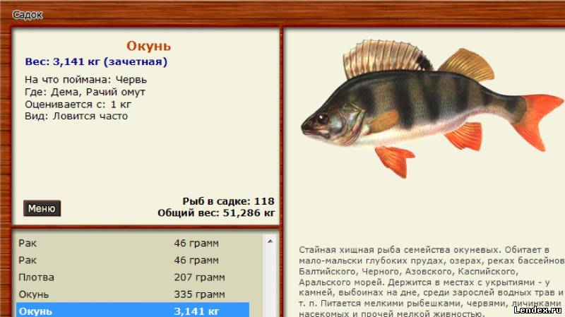 на что ловить плотва в рр3 на что ловить плотва в рр3