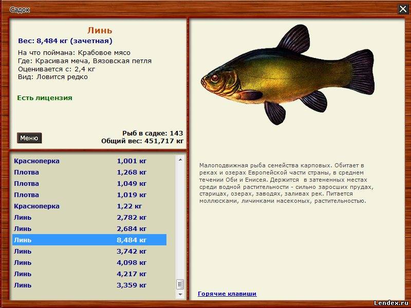 на какую приманку ловить рыбу в озере на какую приманку ловить рыбу в озере
