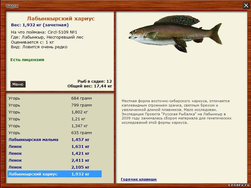 РУССКАЯ РЫБАЛКА ЛАБЫНКЫР СКАЧАТЬ БЕСПЛАТНО РУССКАЯ РЫБАЛКА ЛАБЫНКЫР СКАЧАТЬ БЕСПЛАТНО
