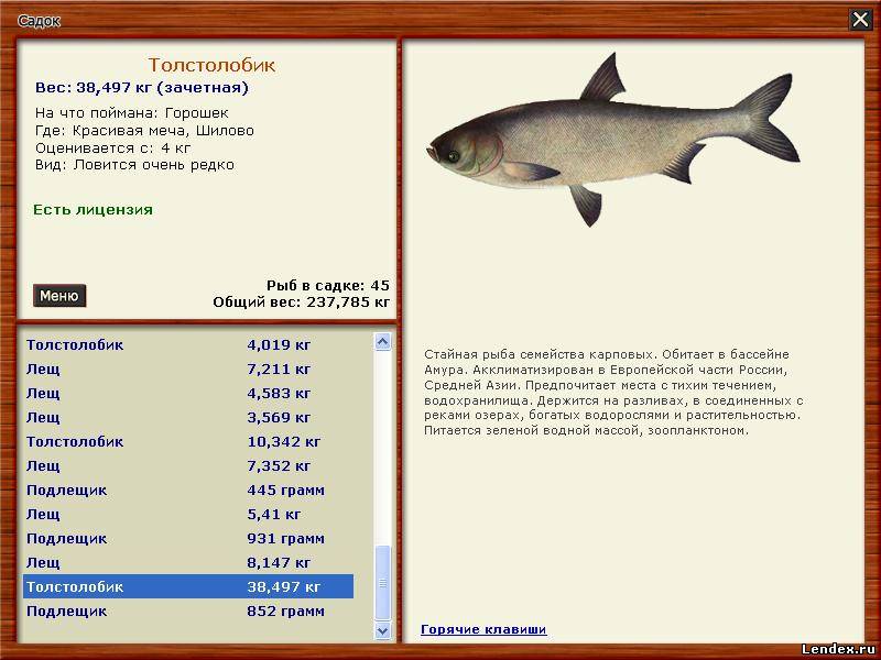 Как удалить и что это Как удалить и что это