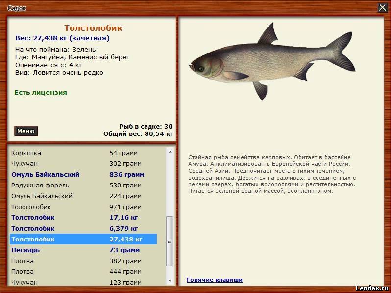 русская рыбалка мангуйна
