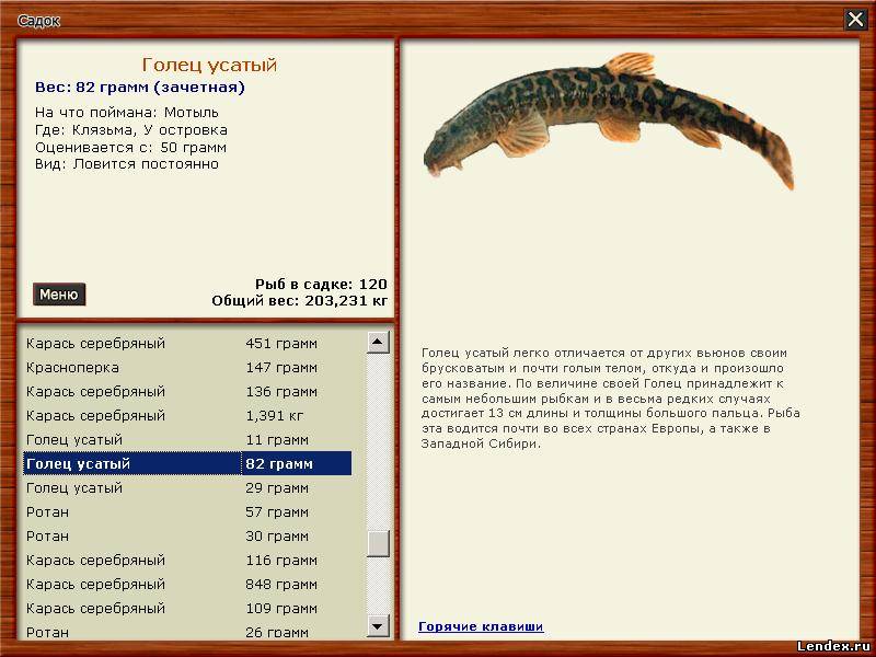 русская рыбалка клязьма