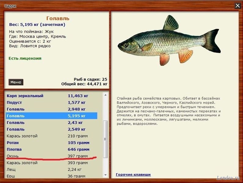 выставки в москве о рыбалке