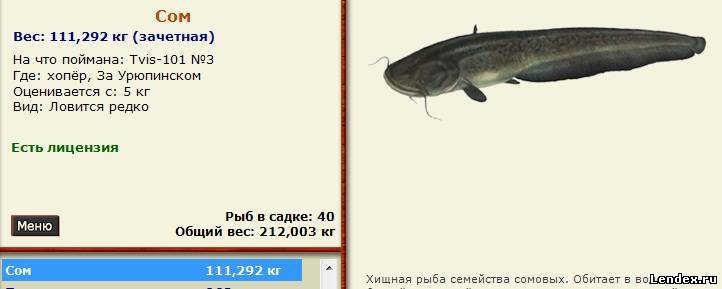 на почто расставлять ловушки сома да идеже его искать на что-нибудь искать сома равно идеже его искать