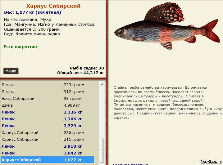 Как самостоятельно сделать квест Как самостоятельно сделать квест
