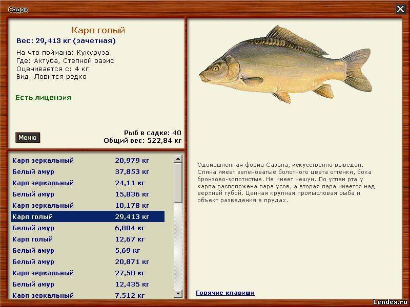Паша триада где ловить Паша триада где ловить