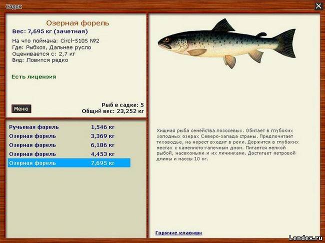 прогноз клева в дивном рыбхоз прогноз прогноз клева в дивном рыбхоз прогноз