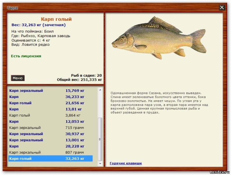 кого ловить на северный ладоге рр3 кого ловить на северный ладоге рр3