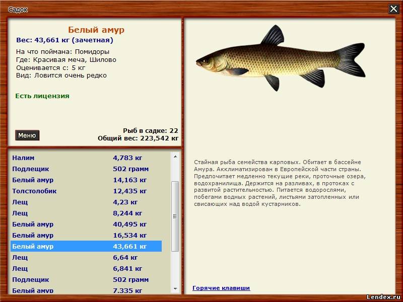 Сколько Стоит Белый Амур В Магазине