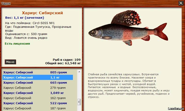 Как в русской рыбалке 2 сделать много денег Как в русской рыбалке 2 сделать много денег