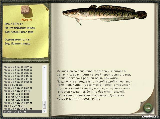 ловить налима на каме ловить налима на каме
