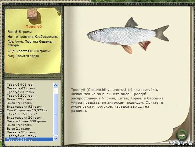 список кто на что клюет список кто на что клюет