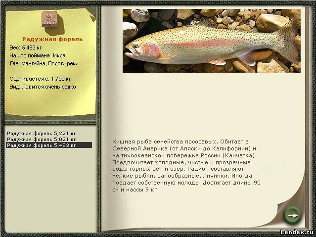 форель чем ловить форель чем ловить