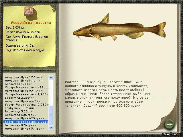 на что можно ловить морскую рыбу на что можно ловить морскую рыбу