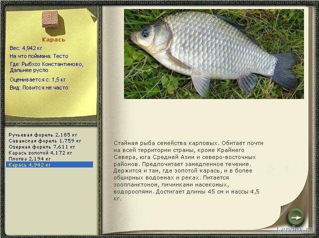 при каком давлении клюет рыба карась при каком давлении клюет рыба карась