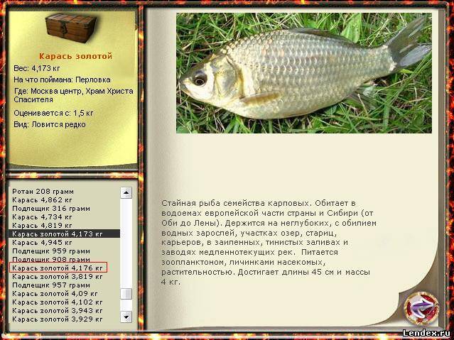 Карась и на что его ловить где его лучше найти Карась и на что его ловить где его лучше найти