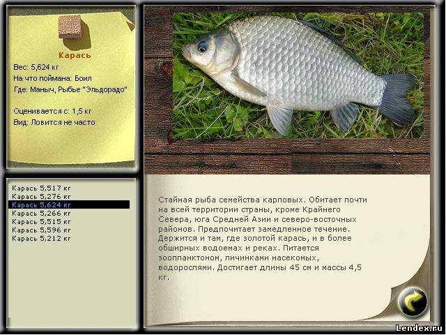 как ловить сайт как ловить сайт
