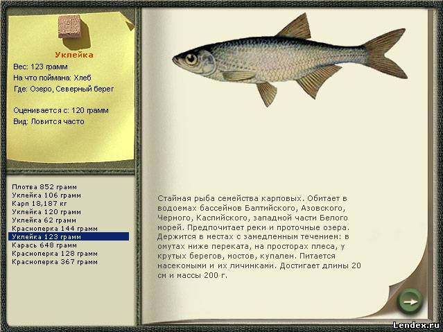 серия рыбалка энциклопедия рыболова