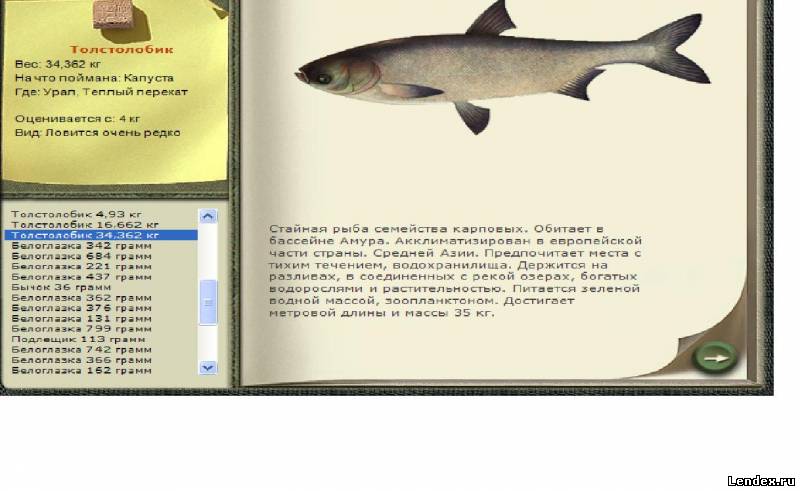 Прикормка для угорь русская рыбалка 3 Прикормка для угорь русская рыбалка 3