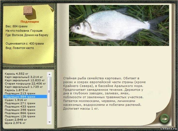 прохладный где ловить рыбу прохладный где ловить рыбу