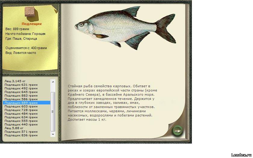 прикормка для речной рыбы рецепты прикормка для речной рыбы рецепты